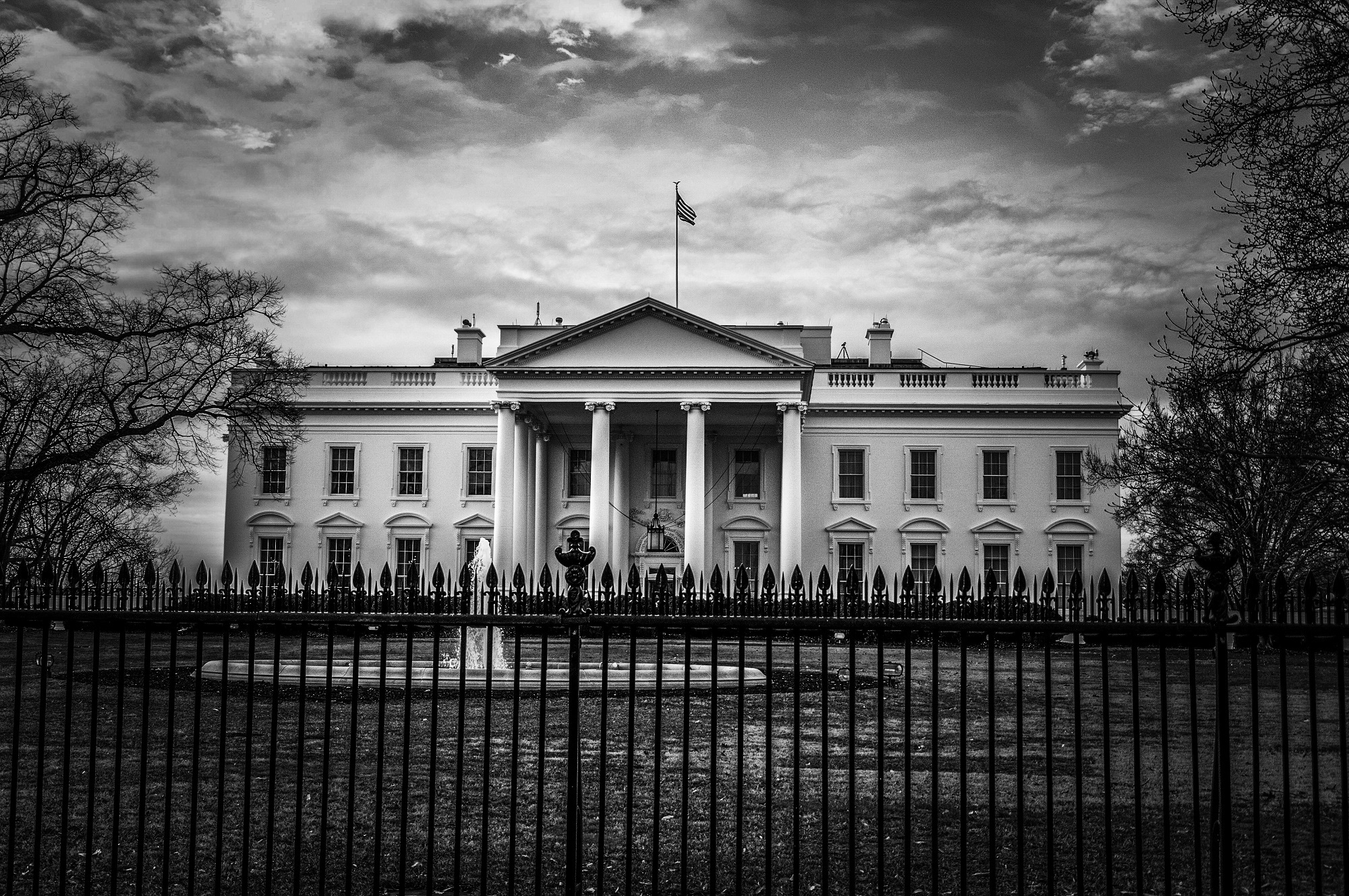 Outlook 2025, Part II: Potential Trump Effects in 2025
