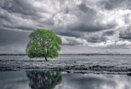 Averting a Depression and Your Cheques for Free