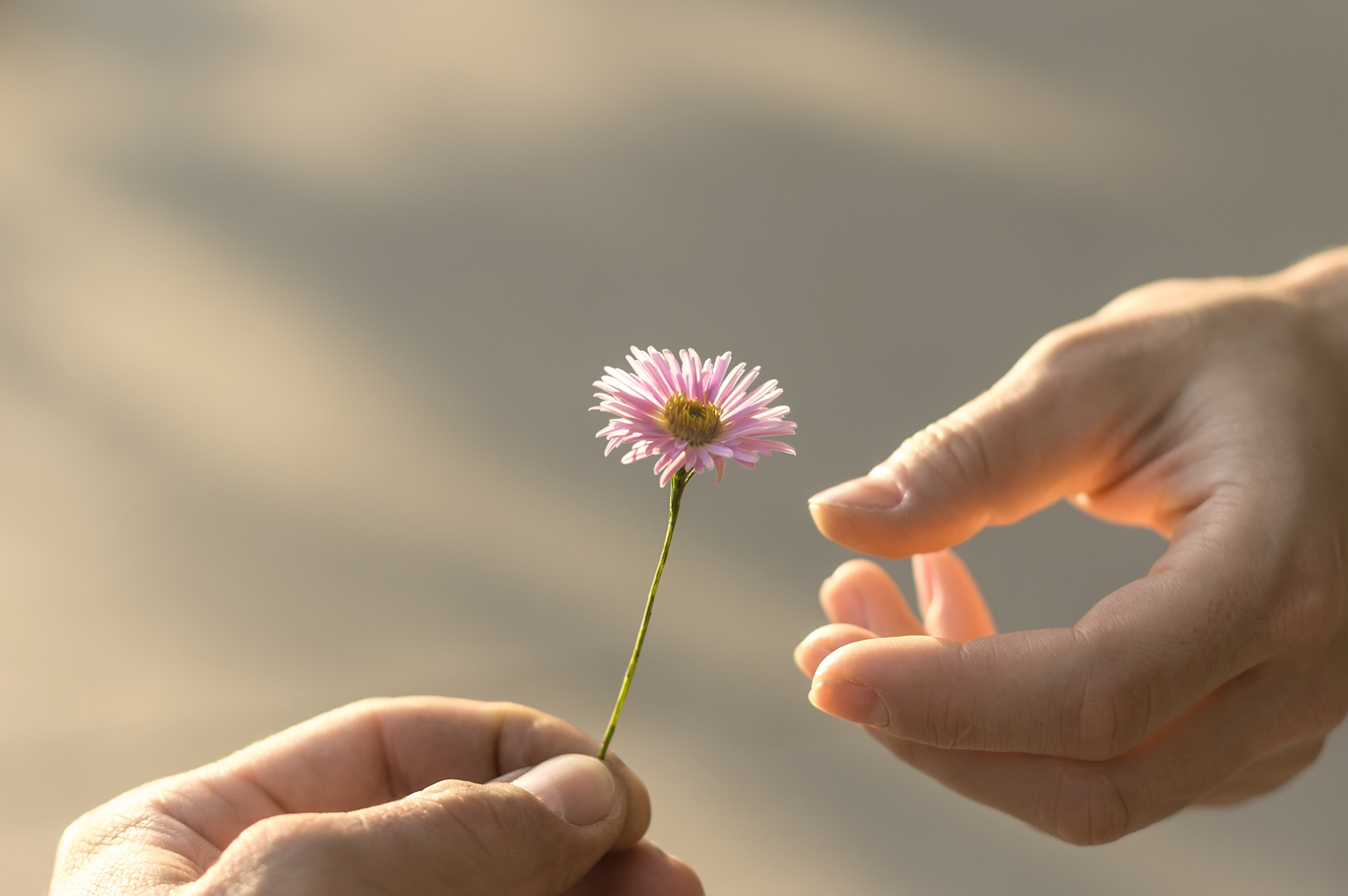 Four Ways of Charitable Giving