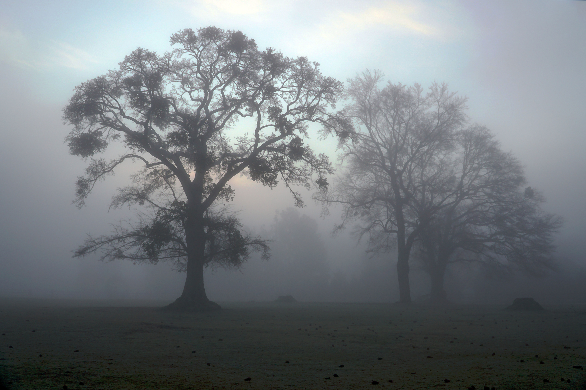Lifting the Fog on ESG